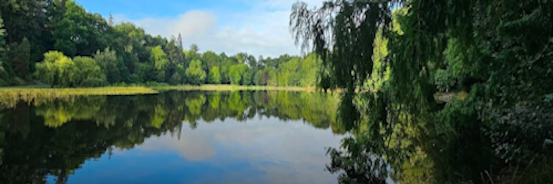 Lake Te Ku Utu in Cambridge Waikato NZ